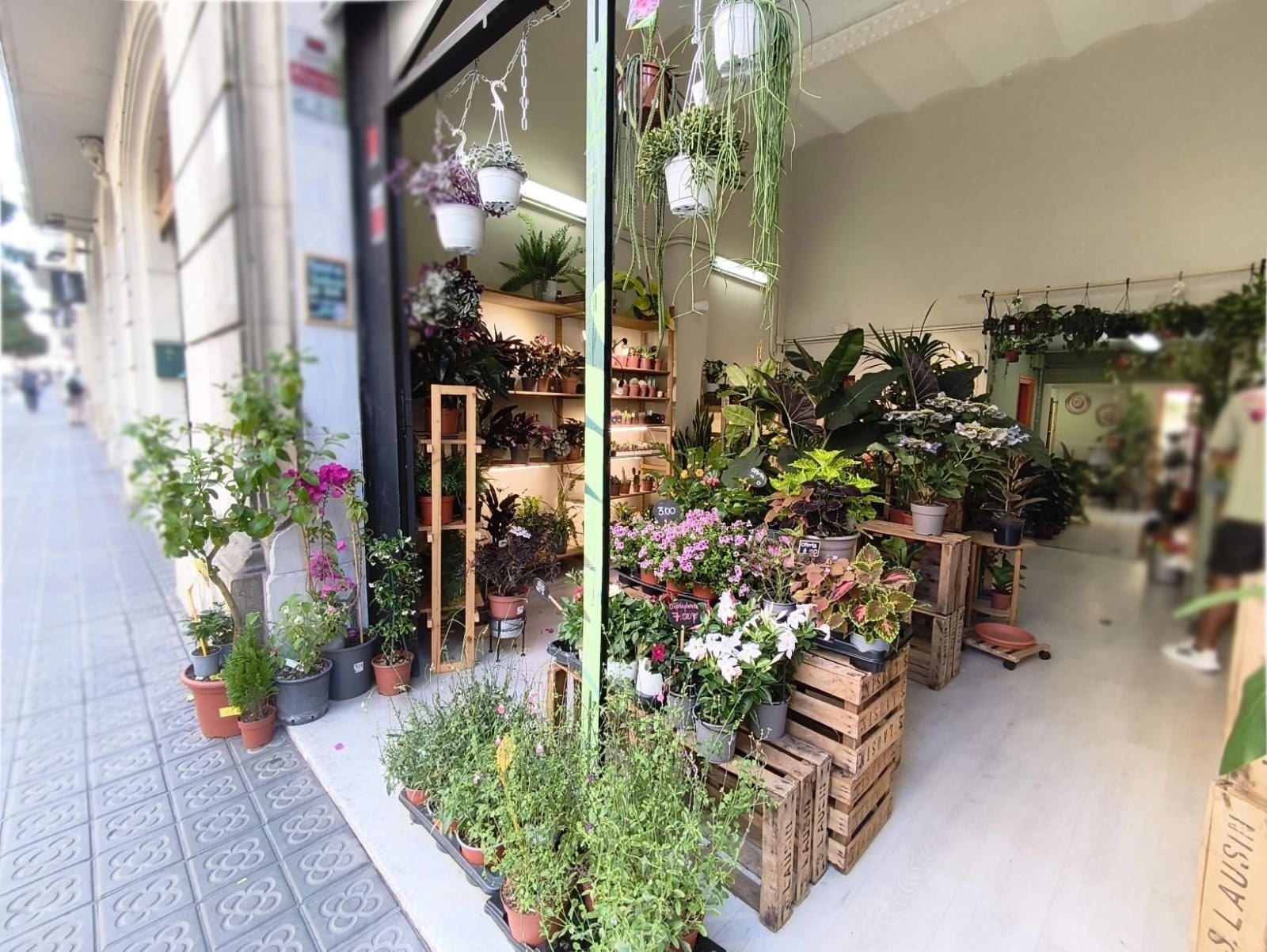 Local en Barcelona, Barcelona en alquiler Foto del interior- Imagen 1 de 12