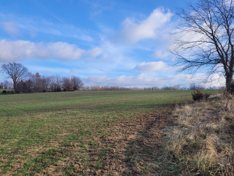 Bales Rd. (26.5+/- Acres), Middletown, MO en venta - Otros - Imagen 1 de 20