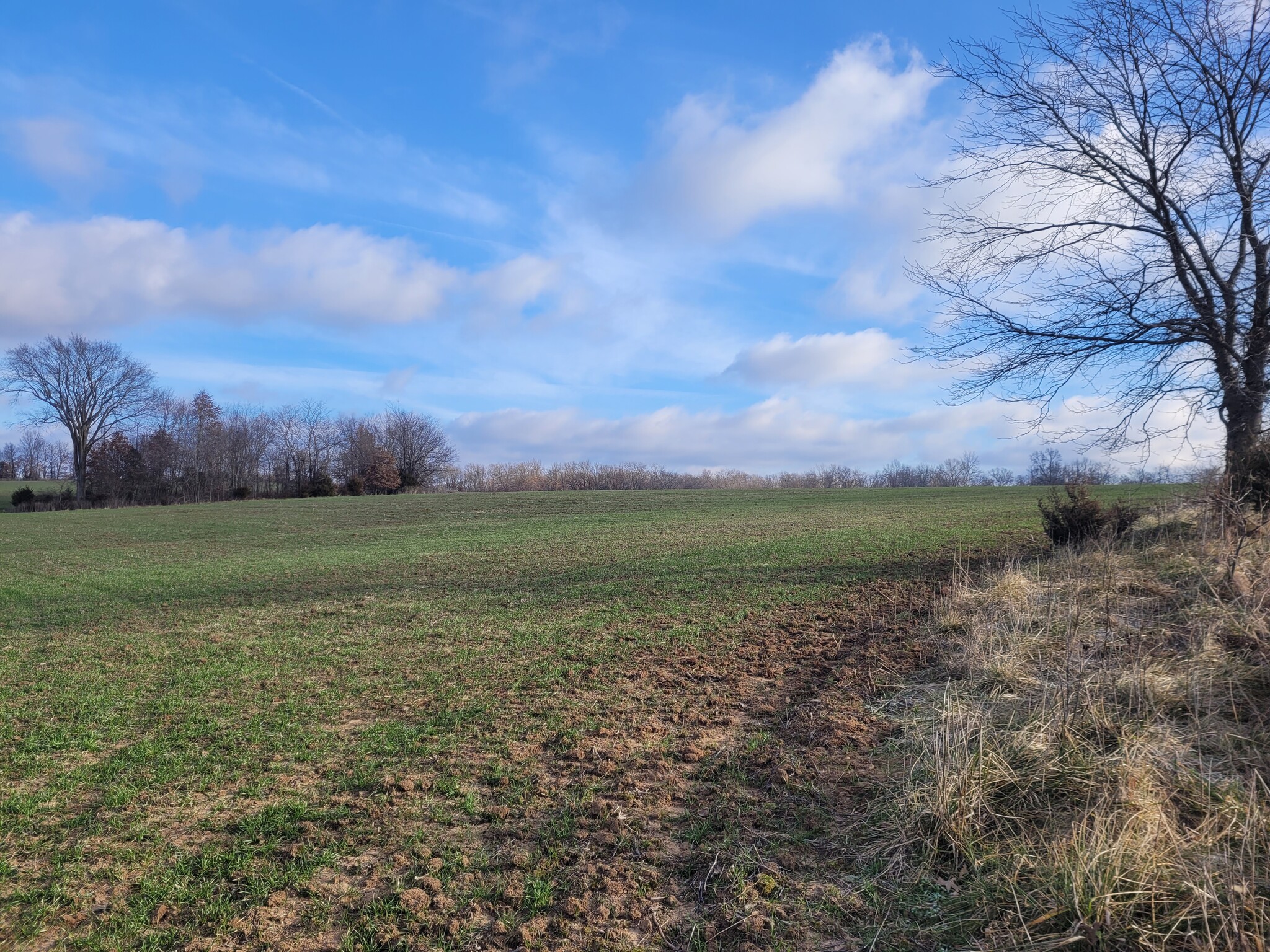 Bales Rd. (26.5+/- Acres), Middletown, MO en venta Otros- Imagen 1 de 21