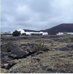 Poligono, 174, Tías, Las Palmas en venta Foto principal- Imagen 1 de 2