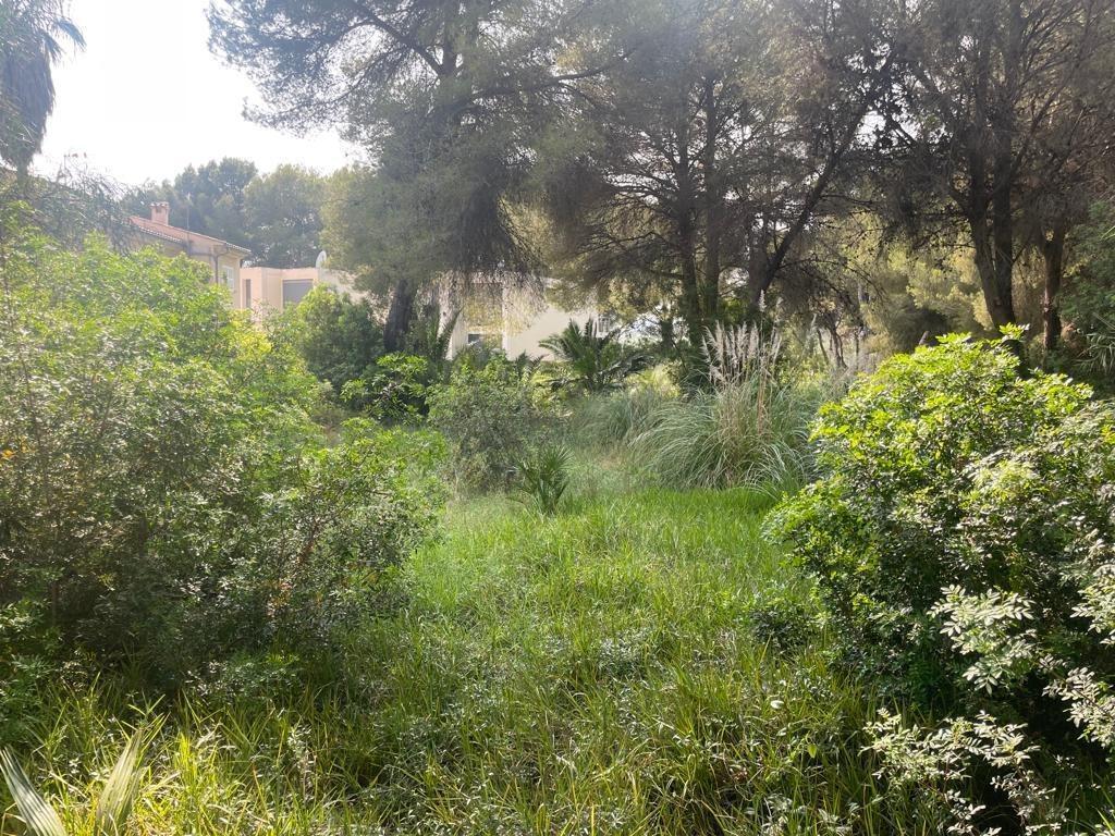 Terreno en Alcúdia, Islas Baleares en venta Foto del edificio- Imagen 1 de 10