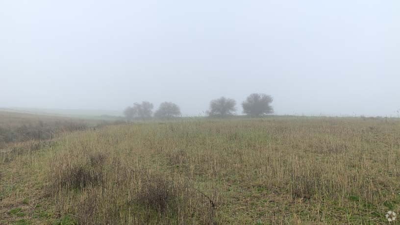 Polígono 12, Villaviciosa de Odón, Madrid en venta Foto principal- Imagen 1 de 15