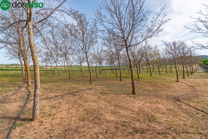 Pago de las Manguetas, 4, Padul, Granada en venta - Foto del edificio - Imagen 3 de 50