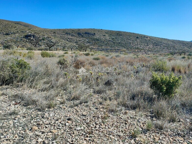 Terreno en Hondón de los Frailes, Alicante en venta - Foto principal - Imagen 1 de 6
