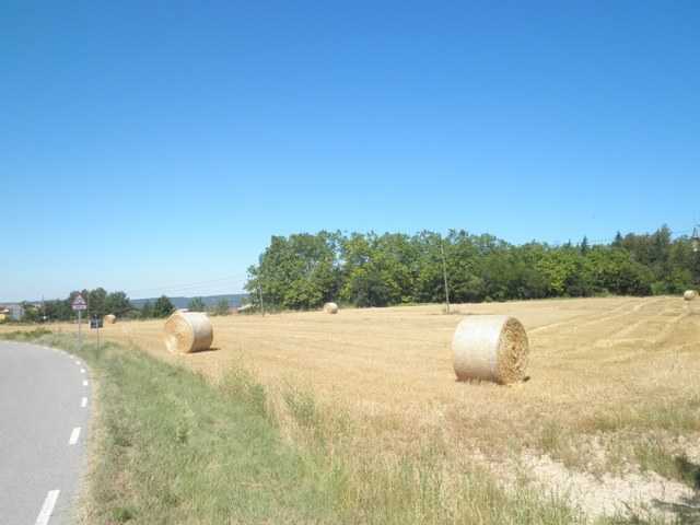 Terreno en Sant Boi de Lluçanès, Barcelona en venta - Plano de la planta - Imagen 1 de 2