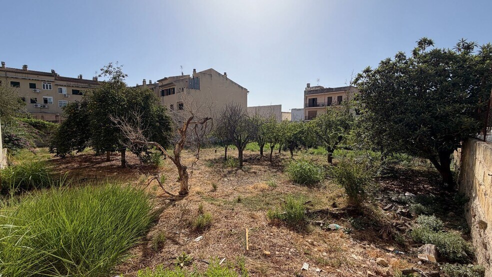 Terreno en Lloseta, Islas Baleares en venta - Foto del edificio - Imagen 3 de 20