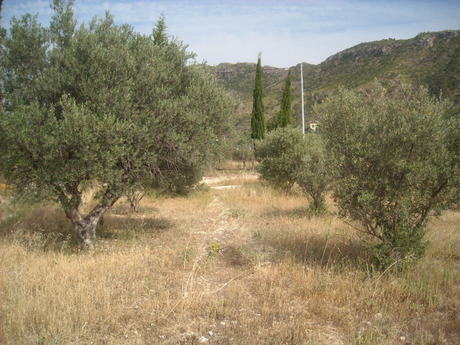 Terreno en Calasparra, Murcia en venta - Plano del sitio - Imagen 2 de 10