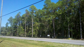 Más detalles para US Hwy 331 S, Freeport, FL - Terrenos en venta