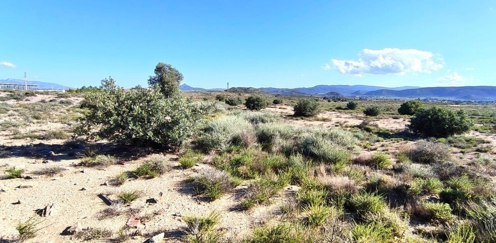 Partida los Cabezos, 16, Villena, Alicante en venta - Plano del sitio - Imagen 2 de 4