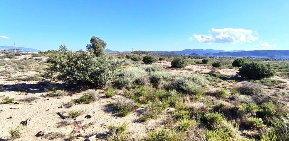 Partida los Cabezos, 16, Villena, Alicante en venta - Plano del sitio - Imagen 3 de 5