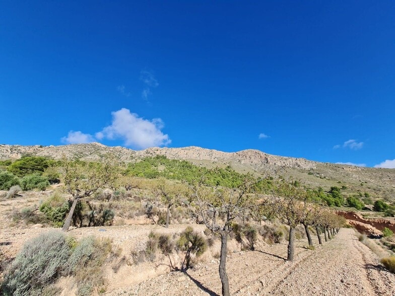 Terreno en La Romana, Alicante en venta - Vista aérea - Imagen 3 de 12