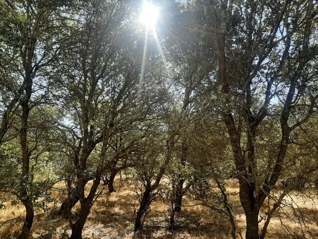 Más detalles de Terreno en venta