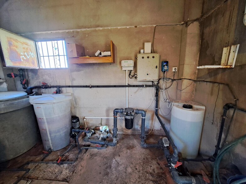 Camí dels Tolls, Alzira, Valencia en venta - Foto principal - Imagen 3 de 28