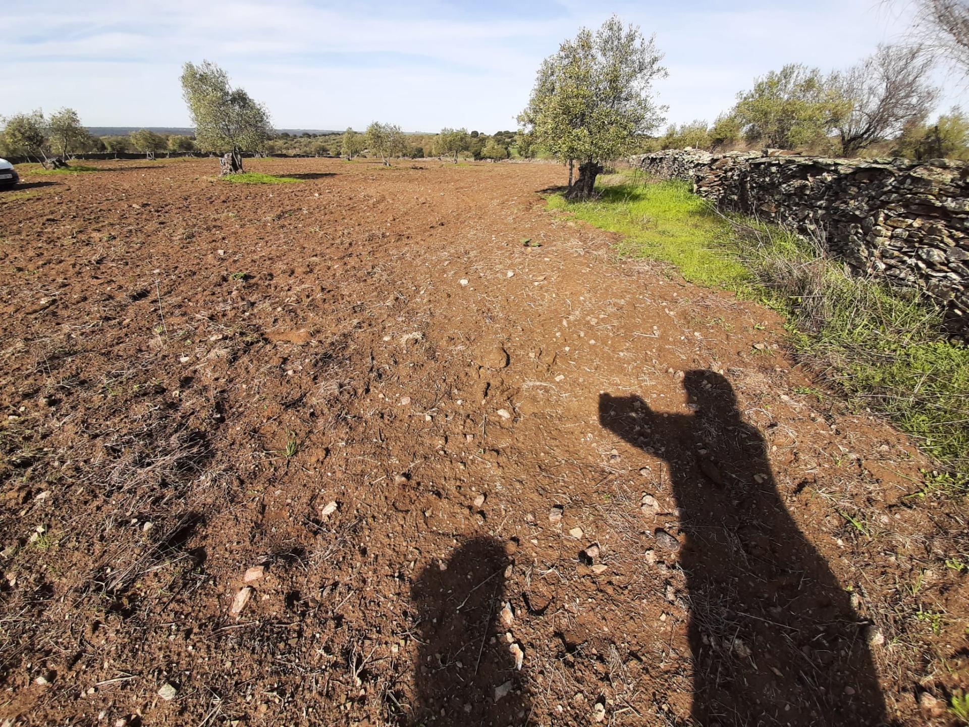 Terreno en Cáceres, Cáceres en venta Plano del sitio- Imagen 1 de 3