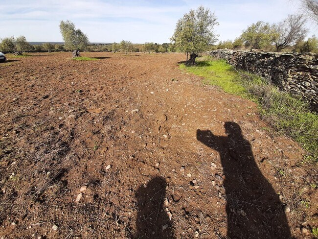 Más detalles de Terreno en venta