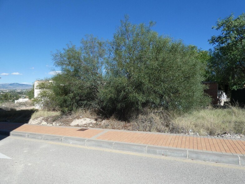 Terreno en Molina de Segura, Murcia en venta - Foto del edificio - Imagen 1 de 8