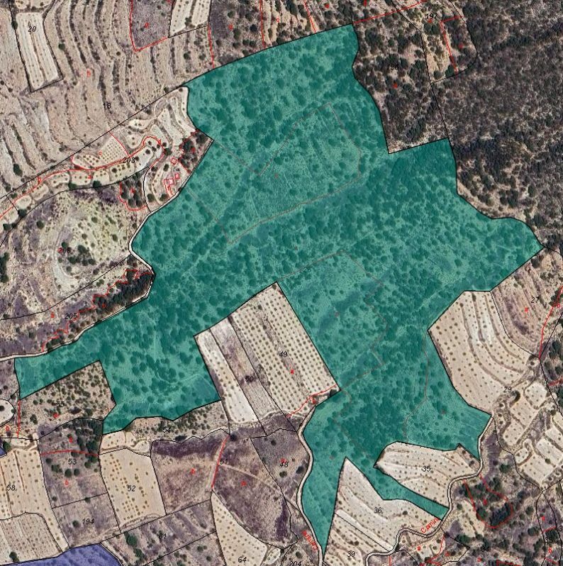 Terreno en MONÒVER en venta Foto del edificio- Imagen 1 de 3