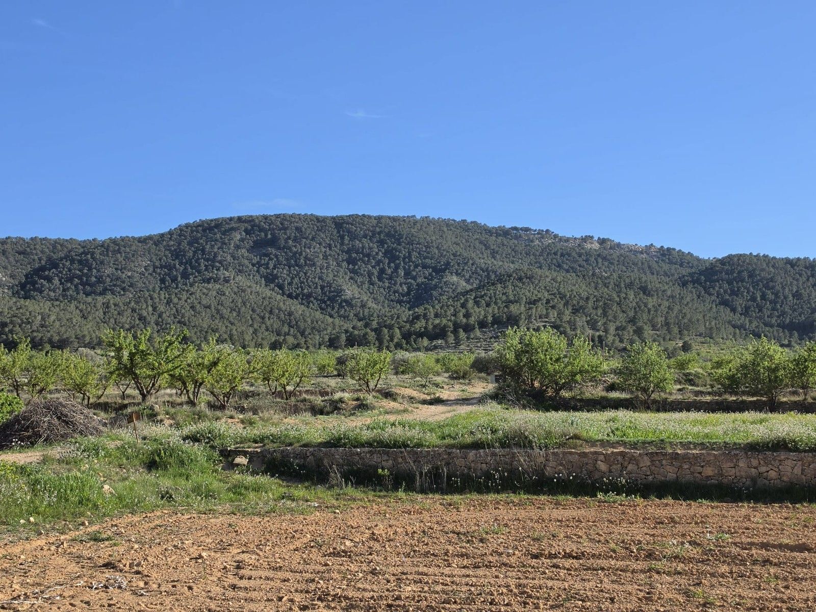 Terreno en MONÒVER, Alicante en venta Vista aérea- Imagen 1 de 15