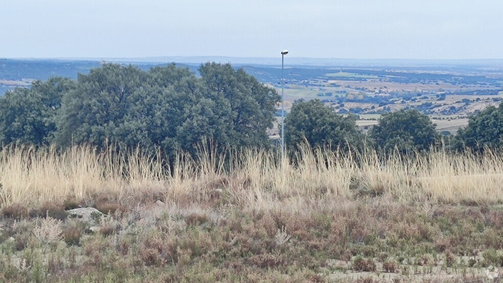 Terrenos en Zarzuela del Monte, Segovia en venta - Foto del edificio - Imagen 2 de 9