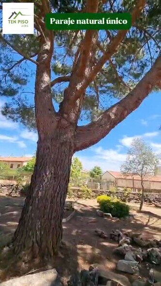 Calle Picota, s/n, Tamajón, Guadalajara en venta - Vídeo de anuncio comercial - Imagen 2 de 30
