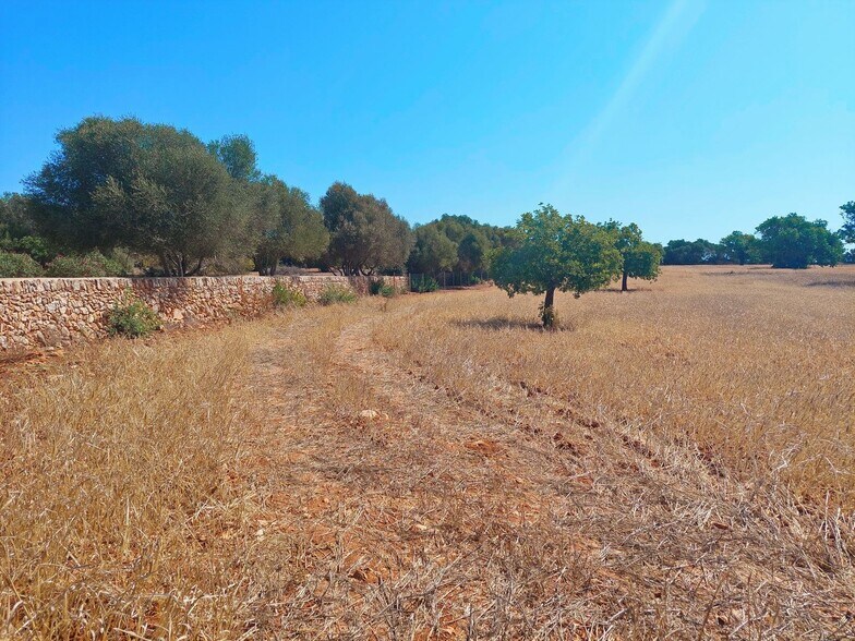 Terreno en Santanyí, Islas Baleares en venta - Foto principal - Imagen 2 de 5