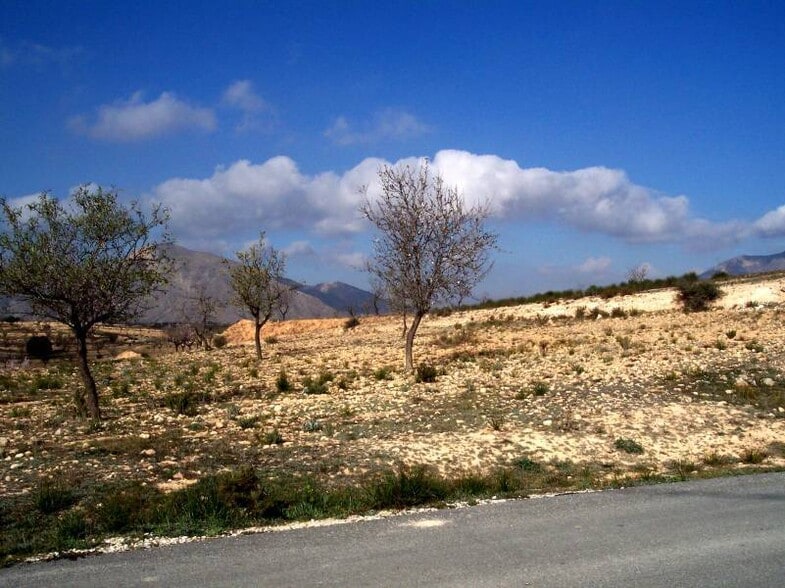 Terreno en Hondón de los Frailes, Alicante en venta - Foto del edificio - Imagen 1 de 1