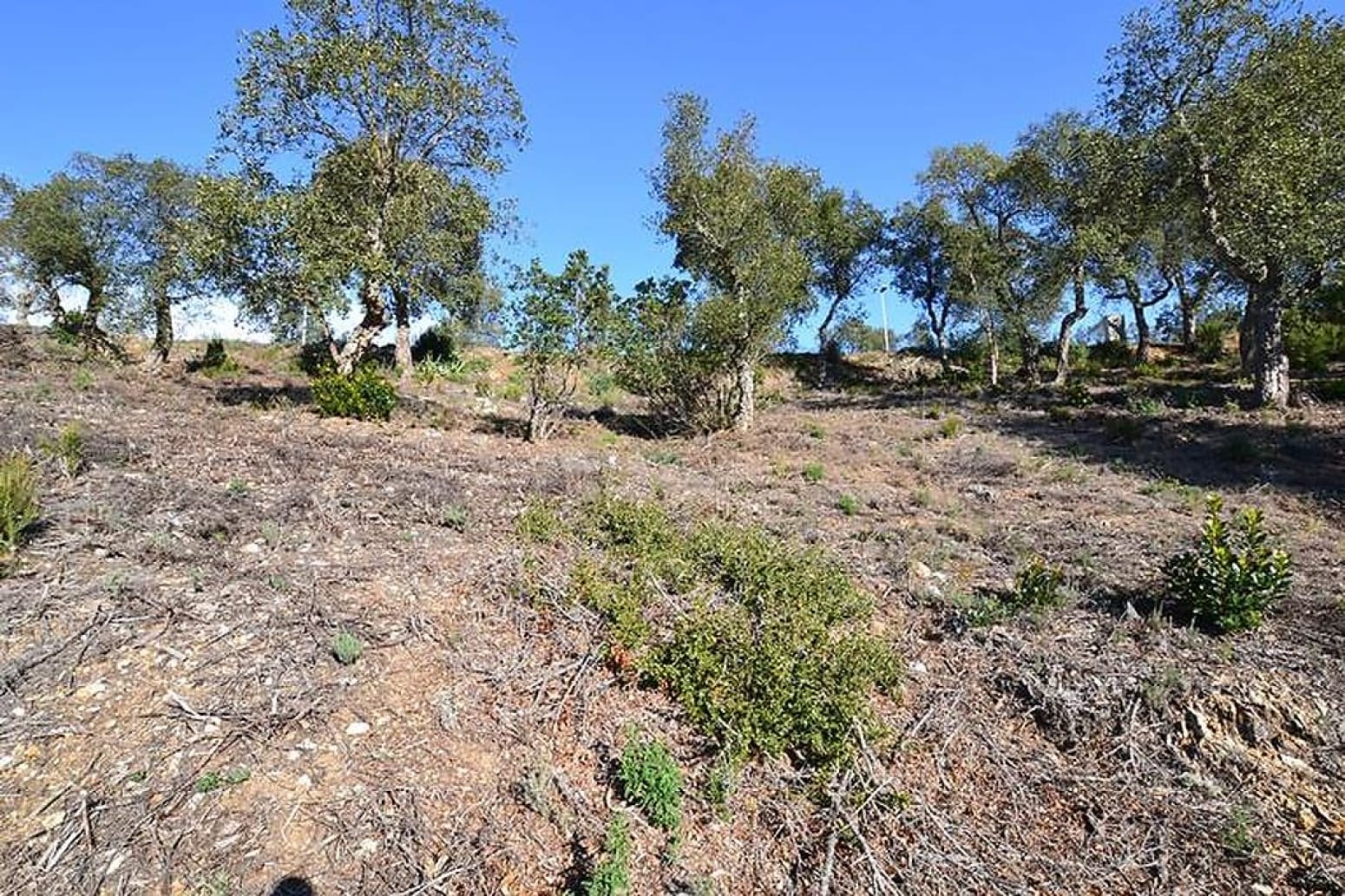 Terreno en Calonge i Sant Antoni, Gerona en venta Plano del sitio- Imagen 1 de 6