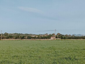 Campos, BAL - Aérea  vista de mapa - Image1