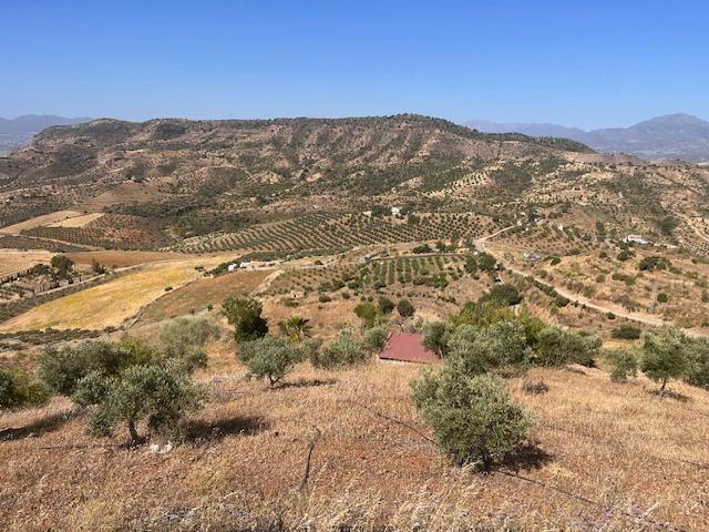 Calle Gibralmora, 10, Pizarra, Málaga en venta - Vista aérea - Imagen 1 de 24