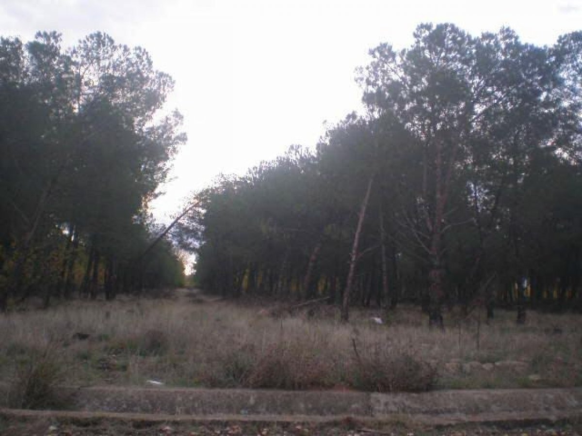 Terreno en Salamanca, Salamanca en venta Foto principal- Imagen 1 de 4