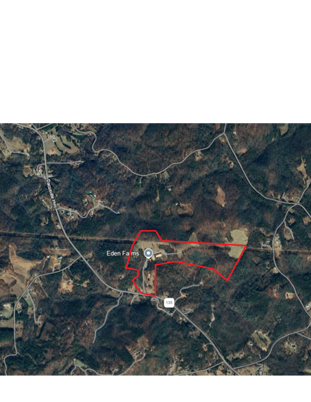 4700 Dacusville Hwy, Marietta, SC en venta - Foto del edificio - Imagen 2 de 3