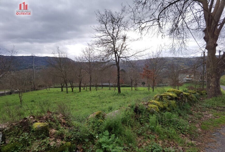 Belesar, Coles, Orense en venta - Foto principal - Imagen 1 de 3