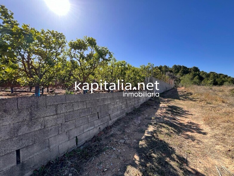 Terreno en Sellent, Valencia en venta - Foto del edificio - Imagen 2 de 6