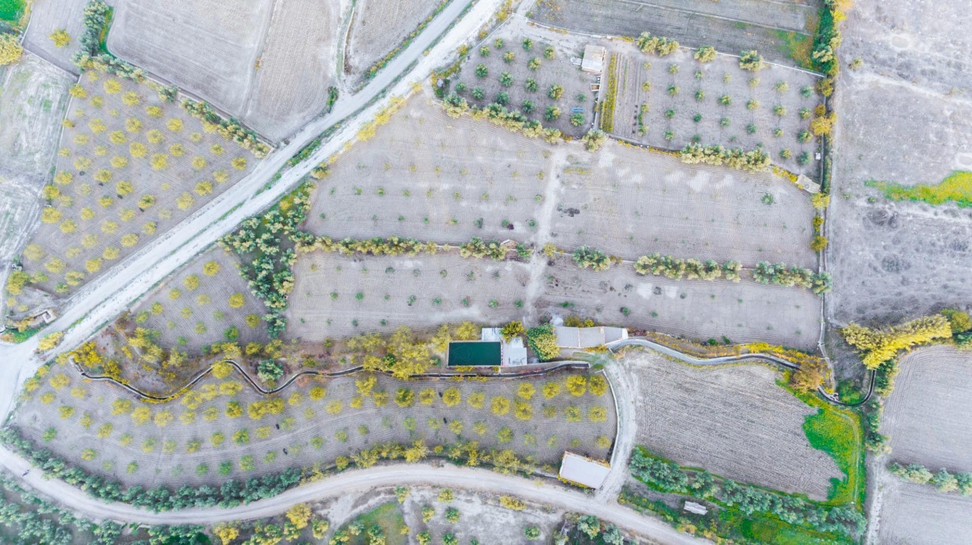 Terreno en Baza, Granada en venta Vista aérea- Imagen 1 de 21