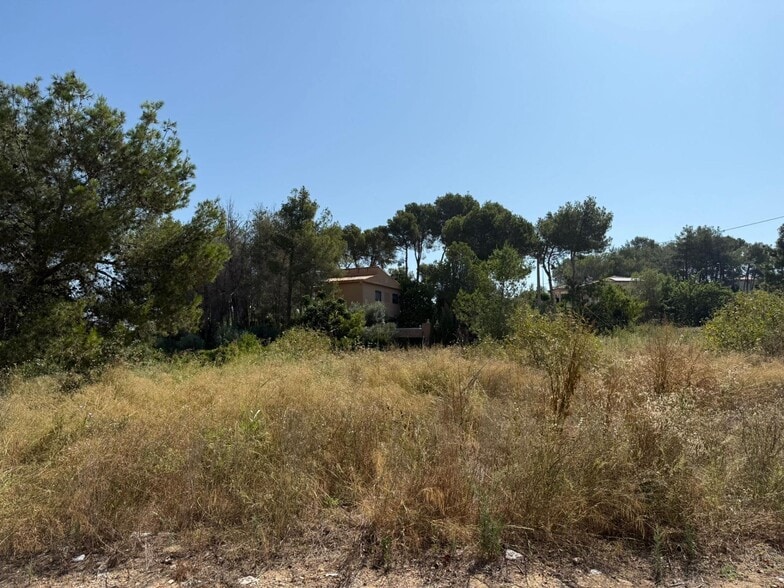 Terreno en Alberic, Valencia en venta - Foto principal - Imagen 3 de 8