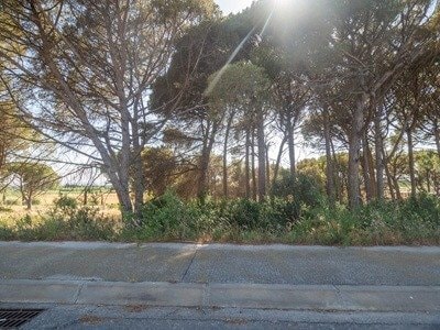 Más detalles de Carrer dels Boters, 25, L'Escala - Terreno en venta