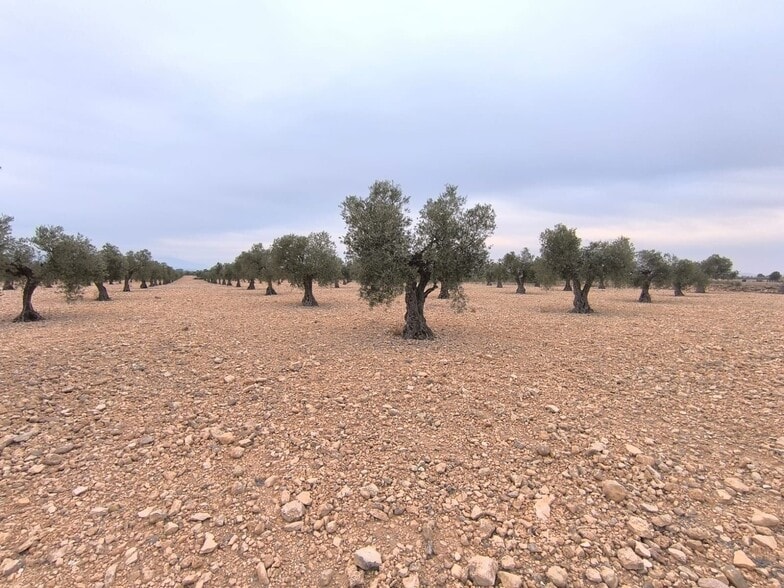 Terreno en Yecla, Murcia en venta - Foto del edificio - Imagen 2 de 7