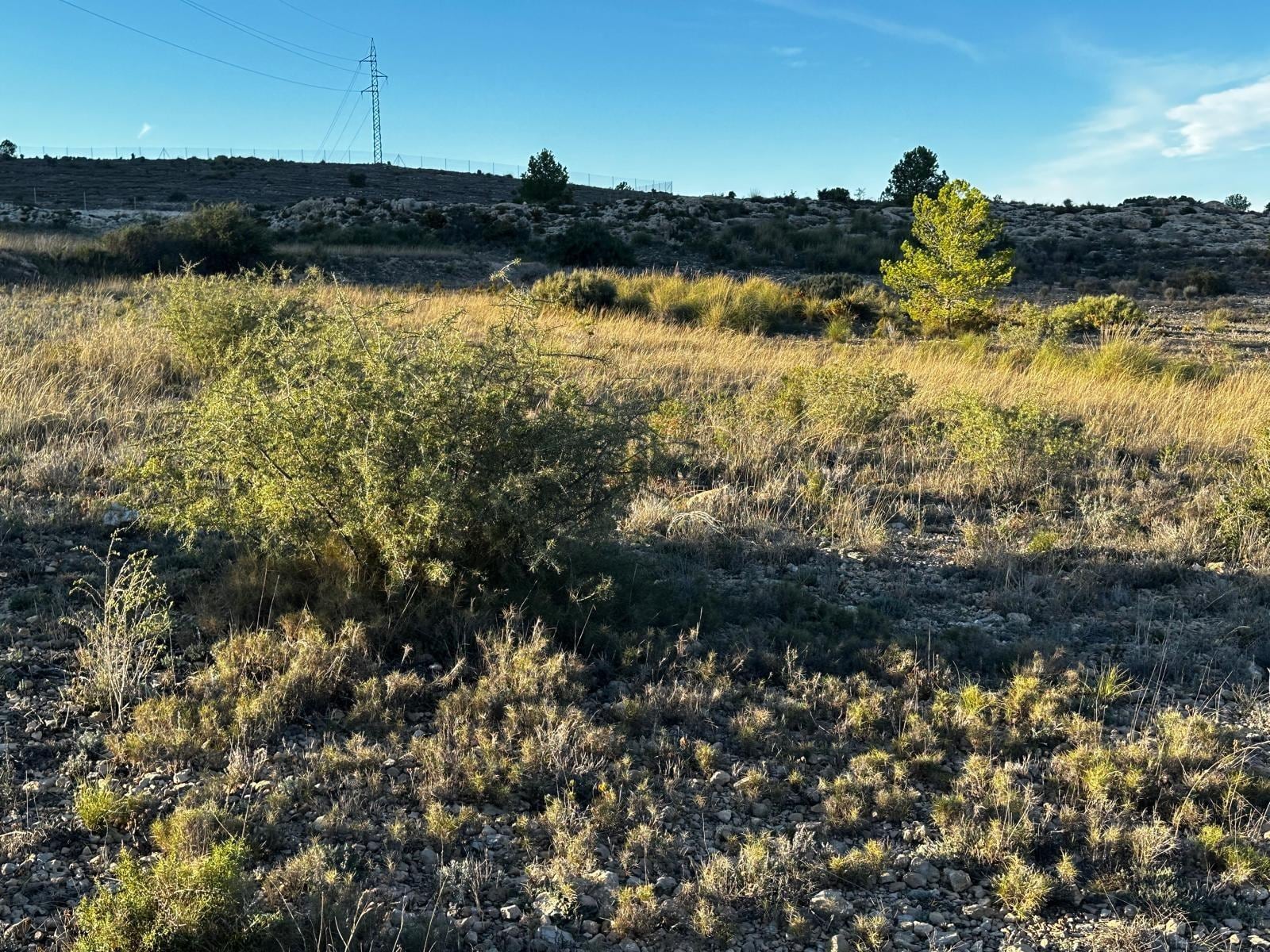 Terreno en Elda, Alicante en venta Plano del sitio- Imagen 1 de 20