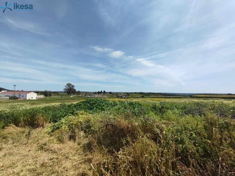 Terreno en Alosno, Huelva en venta - Vista aérea - Imagen 2 de 7