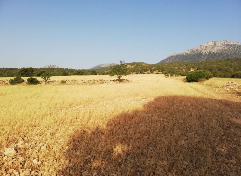 Aguica, 80, Lorca, Murcia en venta - Vista aérea - Imagen 2 de 6