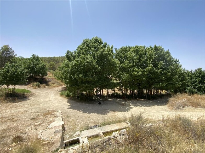 Camino del Peralejo, Sn, Jumilla, Murcia en venta - Foto del edificio - Imagen 3 de 17