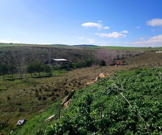 Más detalles de Terreno en venta