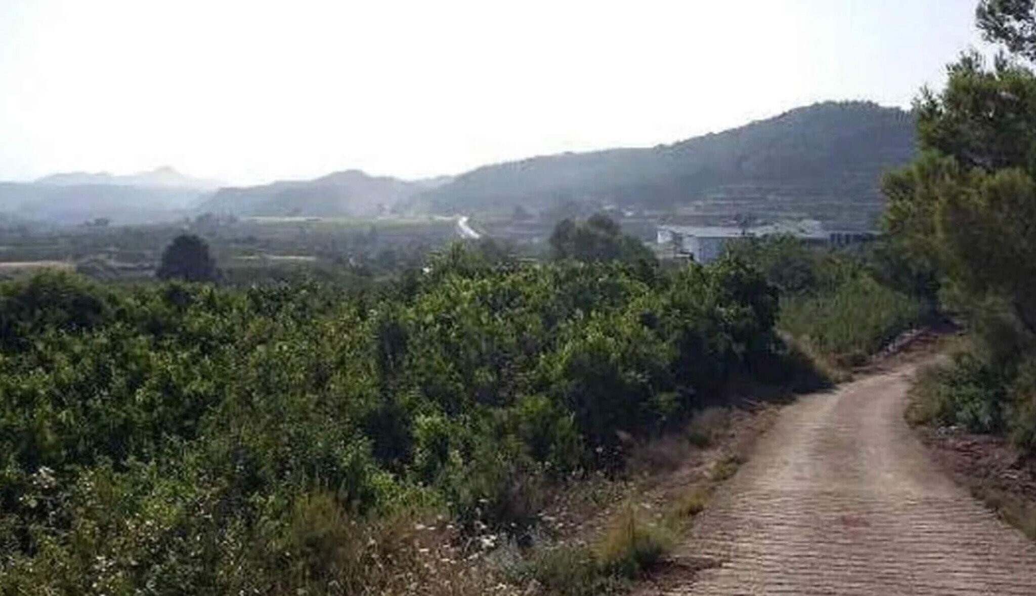 Terreno en Estubeny en venta Vista aérea- Imagen 1 de 4