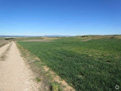 Calle Sector urbanizable, AR, Tórtola de Henares, Guadalajara en venta - Foto principal - Imagen 1 de 3