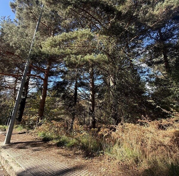 Terreno en Boñar en venta - Foto del edificio - Imagen 2 de 8