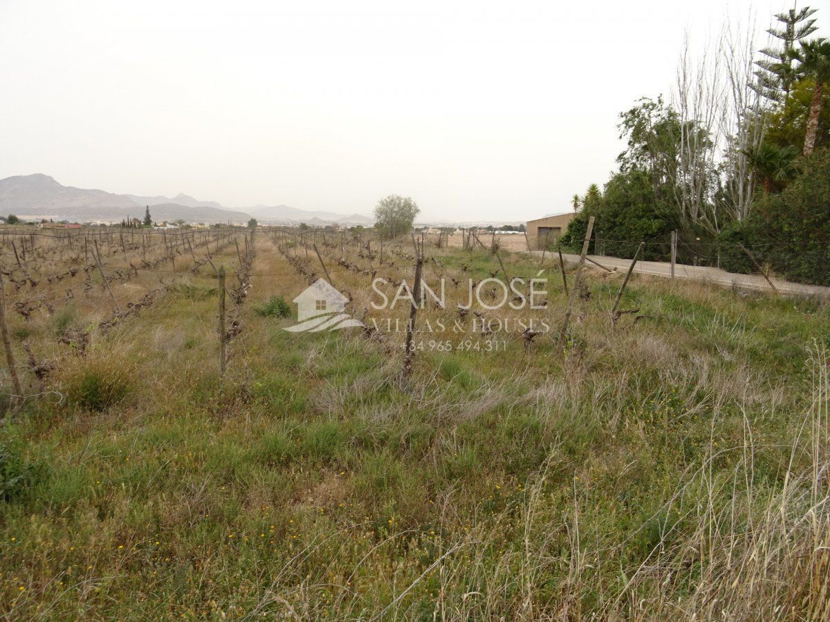 Terreno en Novelda, Alicante en venta Foto principal- Imagen 1 de 9