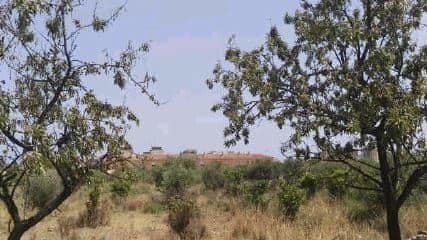 Terreno en BENICÀSSIM en venta - Foto del edificio - Imagen 3 de 3