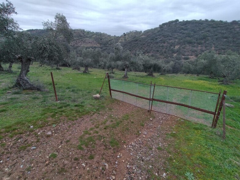 Terreno en Villanueva del Rey, Córdoba en venta - Foto del edificio - Imagen 2 de 8