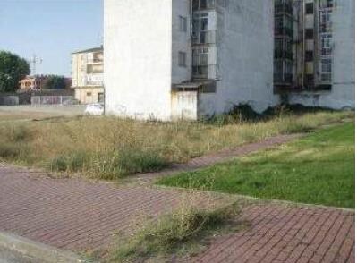 Calle de Calderón, 3, Arévalo, Ávila en venta - Foto del edificio - Imagen 2 de 5