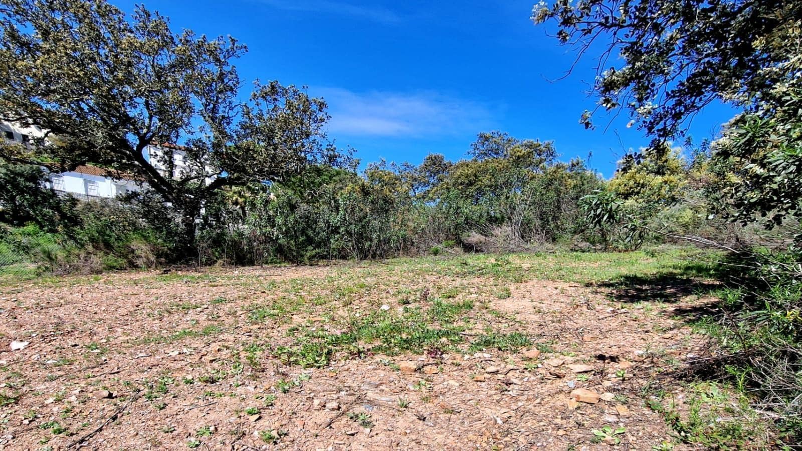 Calle Osuna, 6, Guillena, Sevilla en venta Foto del edificio- Imagen 1 de 7